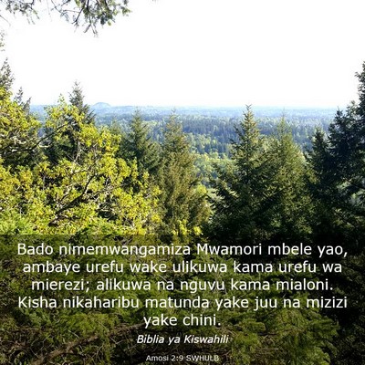 Picture 03 - Amosi 2:9 SWHULB - Bado nimemwangamiza Mwamori mbele yao, ambaye - Bible Verse Picture