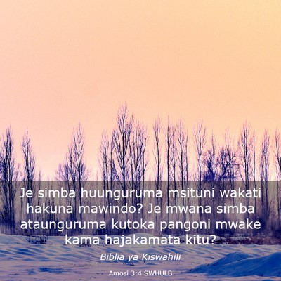 Picture 03 - Amosi 3:4 SWHULB - Je simba huunguruma msituni wakati hakuna - Bible Verse Picture