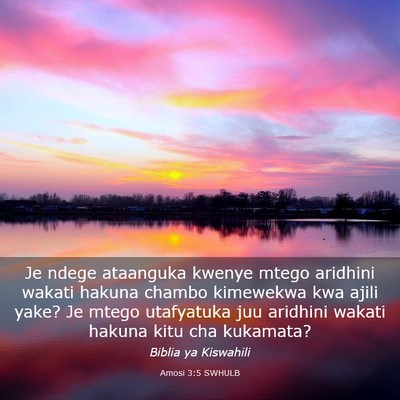 Picture 03 - Amosi 3:5 SWHULB - Je ndege ataanguka kwenye mtego aridhini wakati - Bible Verse Picture