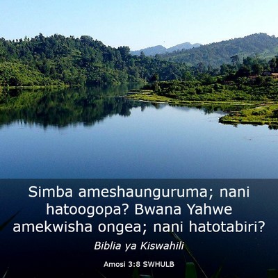 Picture 03 - Amosi 3:8 SWHULB - Simba ameshaunguruma; nani hatoogopa? Bwana Yahwe - Bible Verse Picture