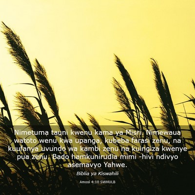 Picture 03 - Amosi 4:10 SWHULB - Nimetuma tauni kwenu kama ya Misri. Nimewaua - Bible Verse Picture