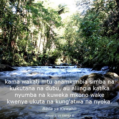 Picture 03 - Amosi 5:19 SWHULB - kama wakati mtu anamkimbia simba na kukutana na - Bible Verse Picture