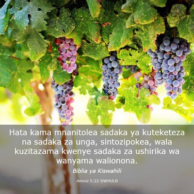 Picture 03 - Amosi 5:22 SWHULB - Hata kama mnanitolea sadaka ya kuteketeza na - Bible Verse Picture