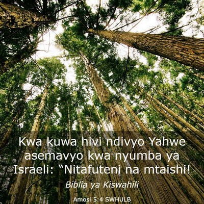 Picture 03 - Amosi 5:4 SWHULB - Kwa kuwa hivi ndivyo Yahwe asemavyo kwa nyumba ya - Bible Verse Picture