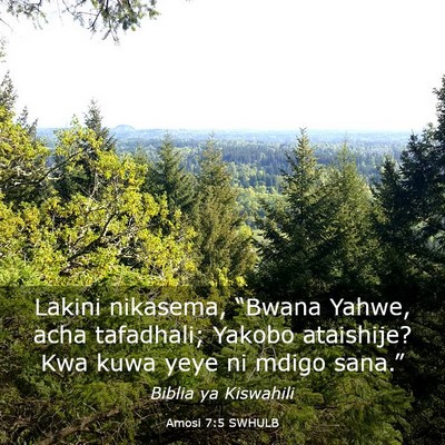 Picture 03 - Amosi 7:5 SWHULB - Lakini nikasema, “Bwana Yahwe, acha tafadhali; - Bible Verse Picture