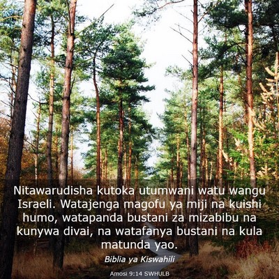 Picture 03 - Amosi 9:14 SWHULB - Nitawarudisha kutoka utumwani watu wangu Israeli. - Bible Verse Picture