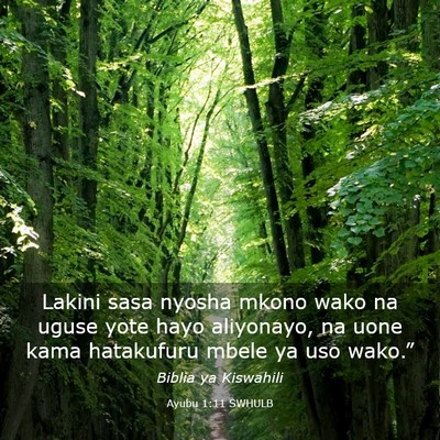 Picture 03 - Ayubu 1:11 SWHULB - Lakini sasa nyosha mkono wako na uguse yote hayo - Bible Verse Picture