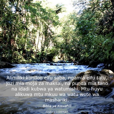 Picture 03 - Ayubu 1:3 SWHULB - Alimiliki kondoo elfu saba, ngamia elfu tatu, - Bible Verse Picture