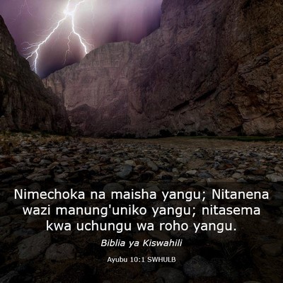 Picture 03 - Ayubu 10:1 SWHULB - Nimechoka na maisha yangu; Nitanena wazi - Bible Verse Picture