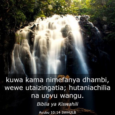 Picture 03 - Ayubu 10:14 SWHULB - kuwa kama nimefanya dhambi, wewe utaizingatia; - Bible Verse Picture
