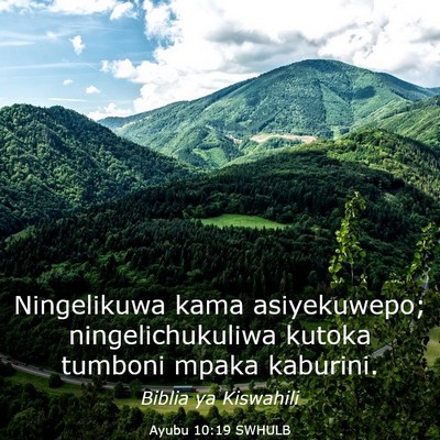Picture 03 - Ayubu 10:19 SWHULB - Ningelikuwa kama asiyekuwepo; ningelichukuliwa - Bible Verse Picture