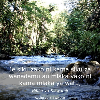 Picture 03 - Ayubu 10:5 SWHULB - Je siku zako ni kama siku za wanadamu au miaka - Bible Verse Picture