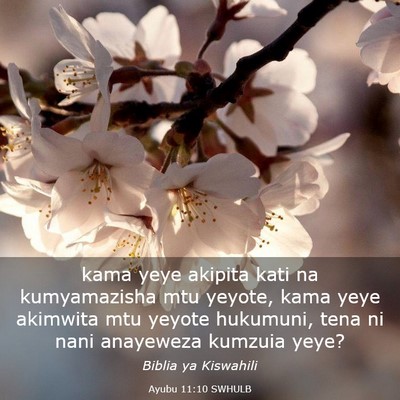 Picture 03 - Ayubu 11:10 SWHULB - kama yeye akipita kati na kumyamazisha mtu - Bible Verse Picture