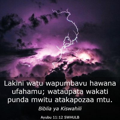 Picture 03 - Ayubu 11:12 SWHULB - Lakini watu wapumbavu hawana ufahamu; wataupata - Bible Verse Picture