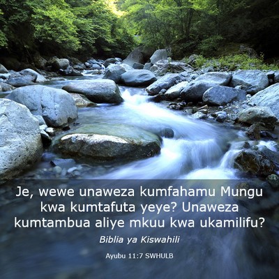 Picture 03 - Ayubu 11:7 SWHULB - Je, wewe unaweza kumfahamu Mungu kwa kumtafuta - Bible Verse Picture