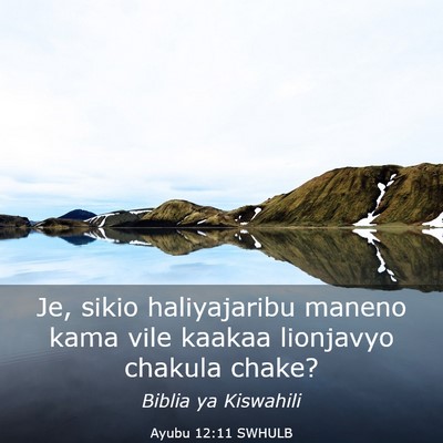 Picture 03 - Ayubu 12:11 SWHULB - Je, sikio haliyajaribu maneno kama vile kaakaa - Bible Verse Picture