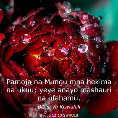 Picture 03 - Ayubu 12:13 SWHULB - Pamoja na Mungu mna hekima na ukuu; yeye anayo - Bible Verse Picture