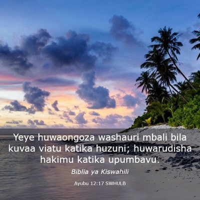 Picture 03 - Ayubu 12:17 SWHULB - Yeye huwaongoza washauri mbali bila kuvaa viatu - Bible Verse Picture