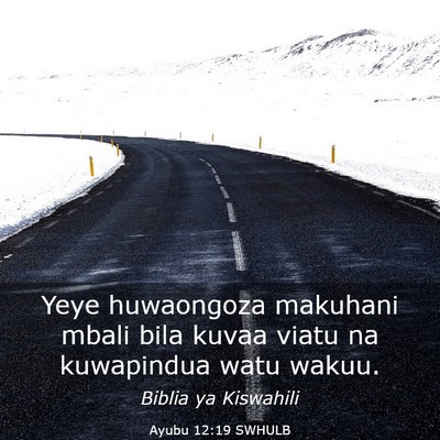 Picture 03 - Ayubu 12:19 SWHULB - Yeye huwaongoza makuhani mbali bila kuvaa viatu - Bible Verse Picture