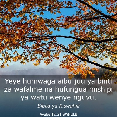 Picture 03 - Ayubu 12:21 SWHULB - Yeye humwaga aibu juu ya binti za wafalme na - Bible Verse Picture