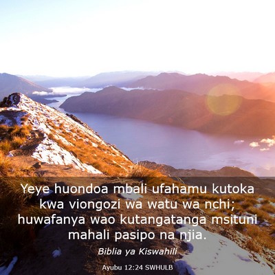 Picture 03 - Ayubu 12:24 SWHULB - Yeye huondoa mbali ufahamu kutoka kwa viongozi wa - Bible Verse Picture