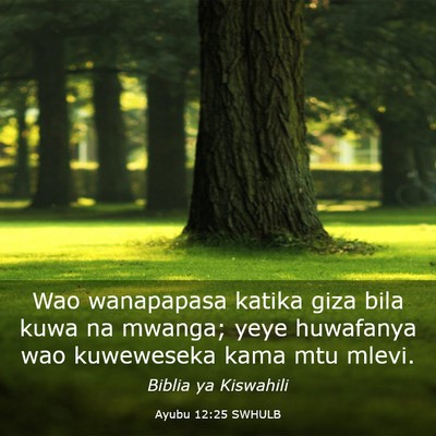 Picture 03 - Ayubu 12:25 SWHULB - Wao wanapapasa katika giza bila kuwa na mwanga; - Bible Verse Picture