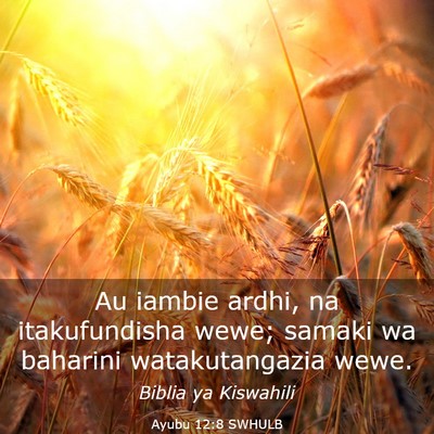 Picture 03 - Ayubu 12:8 SWHULB - Au iambie ardhi, na itakufundisha wewe; samaki wa - Bible Verse Picture