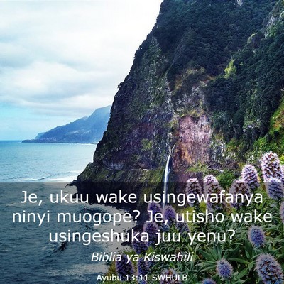Picture 03 - Ayubu 13:11 SWHULB - Je, ukuu wake usingewafanya ninyi muogope? Je, - Bible Verse Picture