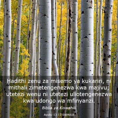 Picture 03 - Ayubu 13:12 SWHULB - Hadithi zenu za misemo ya kukariri, ni mithali - Bible Verse Picture