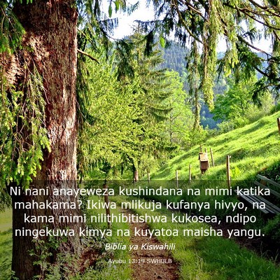 Picture 03 - Ayubu 13:19 SWHULB - Ni nani anayeweza kushindana na mimi katika - Bible Verse Picture