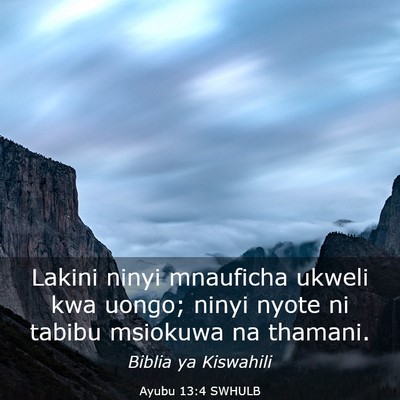 Picture 03 - Ayubu 13:4 SWHULB - Lakini ninyi mnauficha ukweli kwa uongo; ninyi - Bible Verse Picture