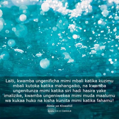 Picture 03 - Ayubu 14:13 SWHULB - Laiti, kwamba ungenificha mimi mbali katika - Bible Verse Picture