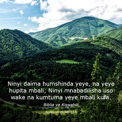 Picture 03 - Ayubu 14:20 SWHULB - Ninyi daima humshinda yeye, na yeye hupita mbali; - Bible Verse Picture