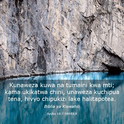 Picture 03 - Ayubu 14:7 SWHULB - Kunaweza kuwa na tumaini kwa mti; kama ukikatwa - Bible Verse Picture