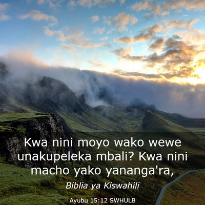 Picture 03 - Ayubu 15:12 SWHULB - Kwa nini moyo wako wewe unakupeleka mbali? Kwa - Bible Verse Picture