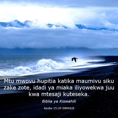 Picture 03 - Ayubu 15:20 SWHULB - Mtu mwovu hupitia katika maumivu siku zake zote, - Bible Verse Picture