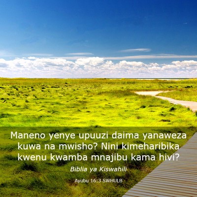 Picture 03 - Ayubu 16:3 SWHULB - Maneno yenye upuuzi daima yanaweza kuwa na - Bible Verse Picture