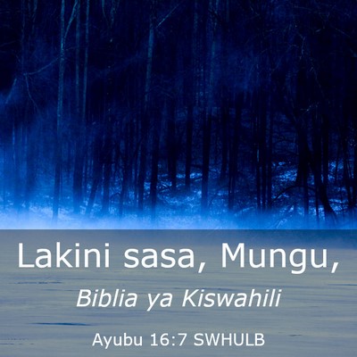 Picture 03 - Ayubu 16:7 SWHULB - Lakini sasa, - Bible Verse Picture