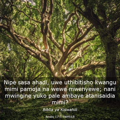 Picture 03 - Ayubu 17:3 SWHULB - Nipe sasa ahadi, uwe uthibitisho kwangu mimi - Bible Verse Picture
