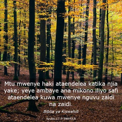 Picture 03 - Ayubu 17:9 SWHULB - Mtu mwenye haki ataendelea katika njia yake; yeye - Bible Verse Picture