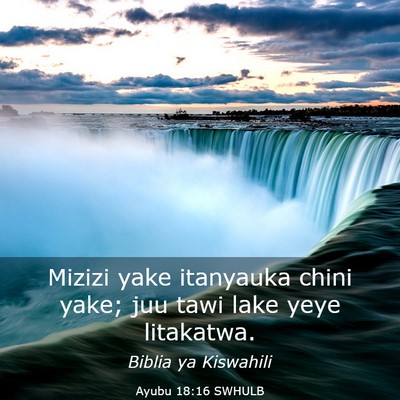 Picture 03 - Ayubu 18:16 SWHULB - Mizizi yake itanyauka chini yake; juu tawi lake - Bible Verse Picture