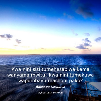 Picture 03 - Ayubu 18:3 SWHULB - Kwa nini sisi tumehesabiwa kama wanyama mwitu; - Bible Verse Picture