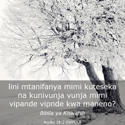 Picture 03 - Ayubu 19:2 SWHULB - lini mtanifanya mimi kuteseka na kunivunja vunja - Bible Verse Picture