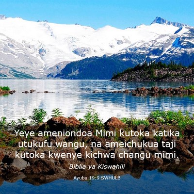 Picture 03 - Ayubu 19:9 SWHULB - Yeye ameniondoa Mimi kutoka katika utukufu wangu, - Bible Verse Picture