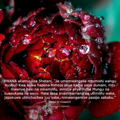 Picture 03 - Ayubu 2:3 SWHULB - BWANA akamuuliza Shetani, “Je umemwangalia - Bible Verse Picture