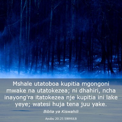 Picture 03 - Ayubu 20:25 SWHULB - Mshale utatoboa kupitia mgongoni mwake na - Bible Verse Picture