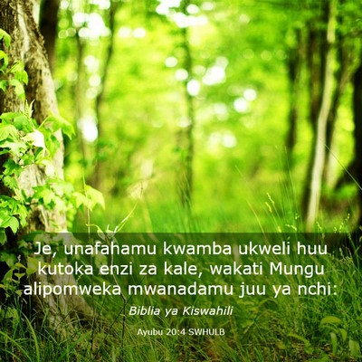 Picture 03 - Ayubu 20:4 SWHULB - Je, unafahamu kwamba ukweli huu kutoka enzi za - Bible Verse Picture