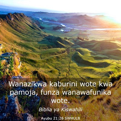 Picture 03 - Ayubu 21:26 SWHULB - Wanazikwa kaburini wote kwa pamoja, funza - Bible Verse Picture