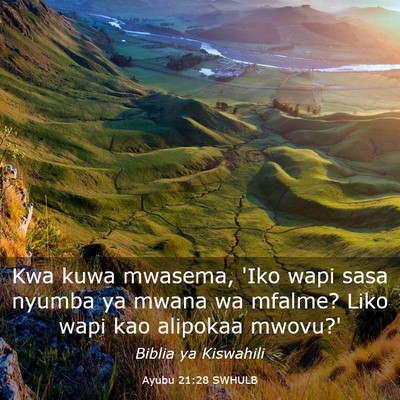 Picture 03 - Ayubu 21:28 SWHULB - Kwa kuwa mwasema, 'Iko wapi sasa nyumba ya mwana - Bible Verse Picture