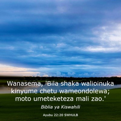 Picture 03 - Ayubu 22:20 SWHULB - Wanasema, 'Bila shaka walioinuka kinyume chetu - Bible Verse Picture